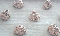 Portioning flourless cookie dough as directed by crisp recipe