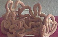 cinnamon butter cookies or raivas