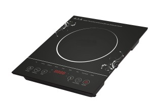 Professional 1500-Watt